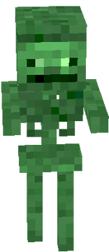 squelette_vert