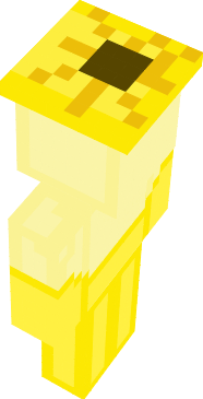 Preview of texture: steve