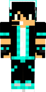 skin