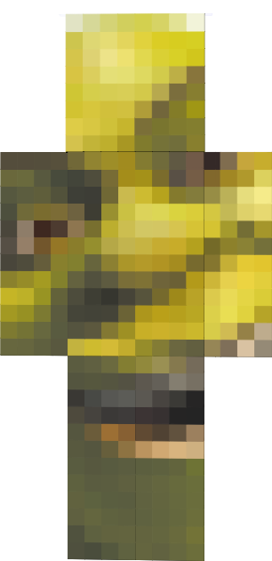 Preview of texture: Shrek 2