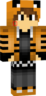 マイクラスキン　トラ