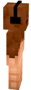 steve