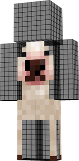 wf
