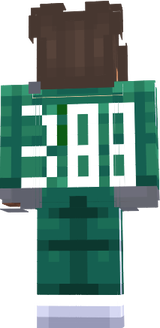 numara 388