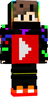 ddskin