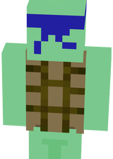 tortue
