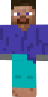 upside down steve