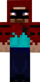 ninja steve