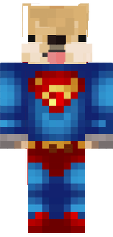 cachorro superman