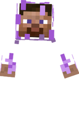 Mr.minecraft 