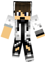 mc skin