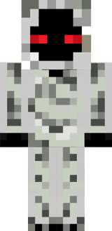 entiti 303