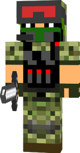 voin