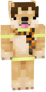 Xencor Doge Morty