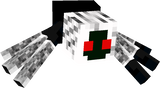 dwak