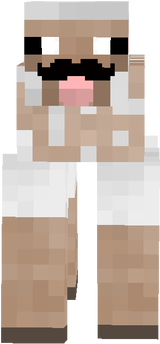 Sheep