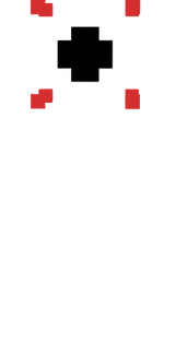 Camera WIP