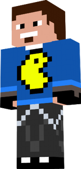 TheStint