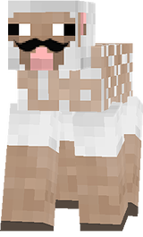 sheep