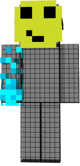 JONI UNSICHBAR SKIN