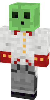 Skin 1