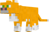 chat orange