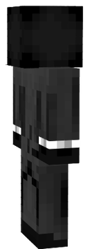 my new penguin