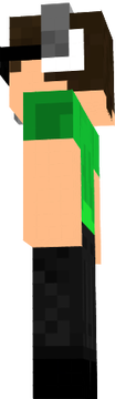 skin