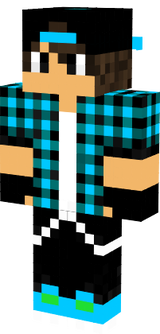 skin