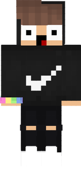 minecraft.net.skinBr