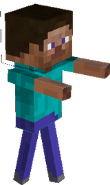 Steve