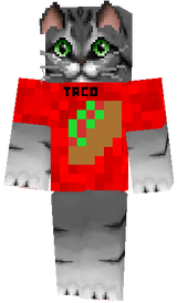 Taco Cat