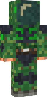 stalker stepa