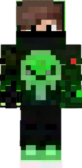 Skin