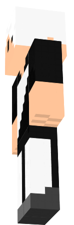 Preview of texture: silverelite168