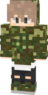 skin mc