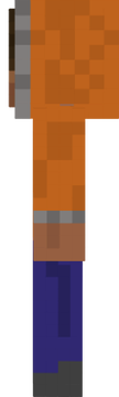 steve DN