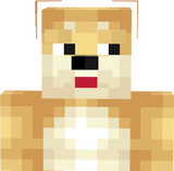 doge of the chehue