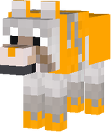 elegant sand wolf wild