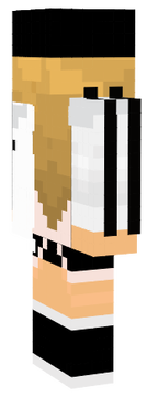 skin minecraft