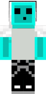 skin minecraft prout