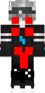 TSchirni2.0