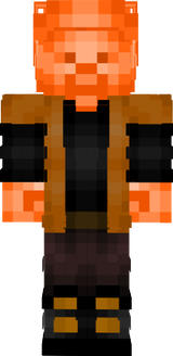 Hub_Orange_Steve