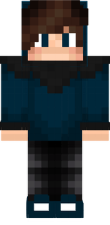 End3rDZN skin