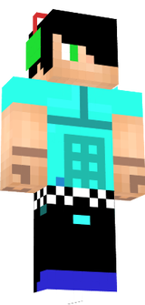 skin