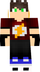 Vtagamess_BR2