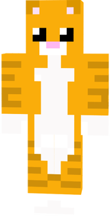 kot_1