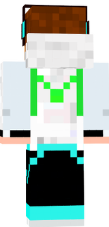 skin