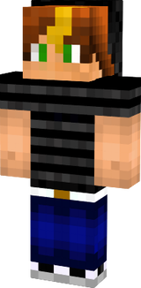 Koshmesh