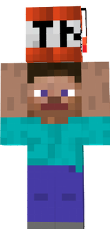 tnt steve